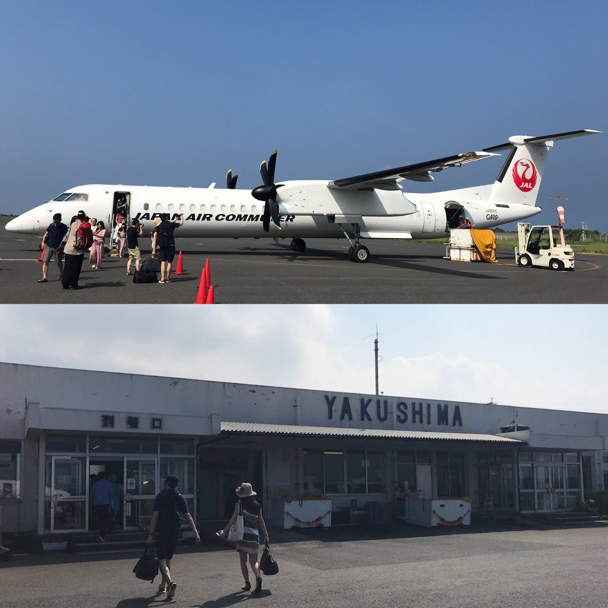 民宿あらき 荒木商店 屋久島 本格焼酎三岳 Minsyuku Araki Twitter 民宿あらき 荒木商店 屋久島 本格焼酎三岳 Minsyuku Araki Twitter