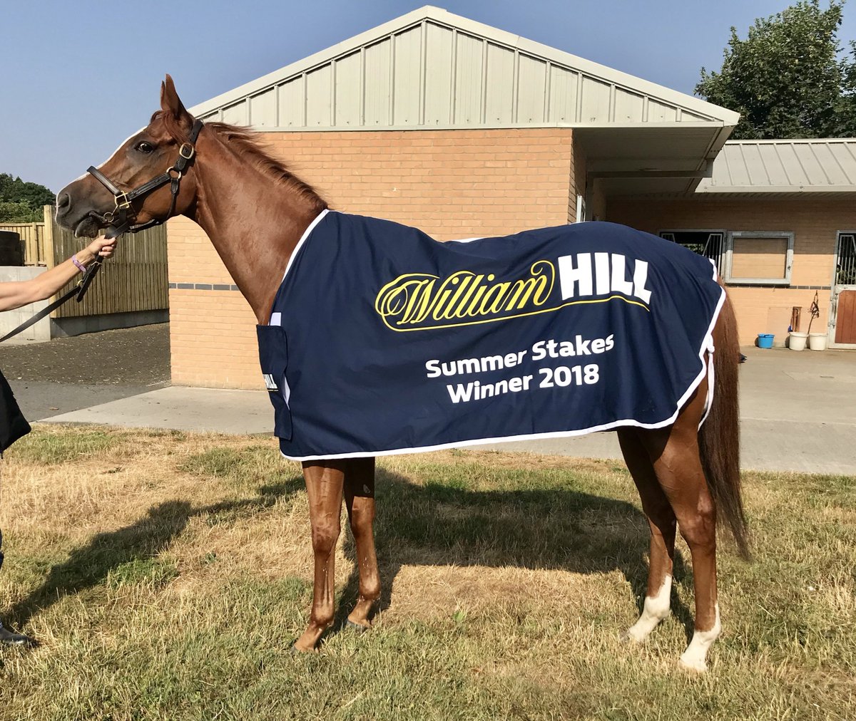 MarcoBotti's tweet photo. RAVEN’S LADY is in great form at home this morning! Here she is showing off her new @WilliamHill Group 3 winning rug from @yorkracecourse 🏆💫🏇🏻@RacingHOTSR #TeamBotti #ravenslady #specialfilly https://t.co/3nrS9odakM