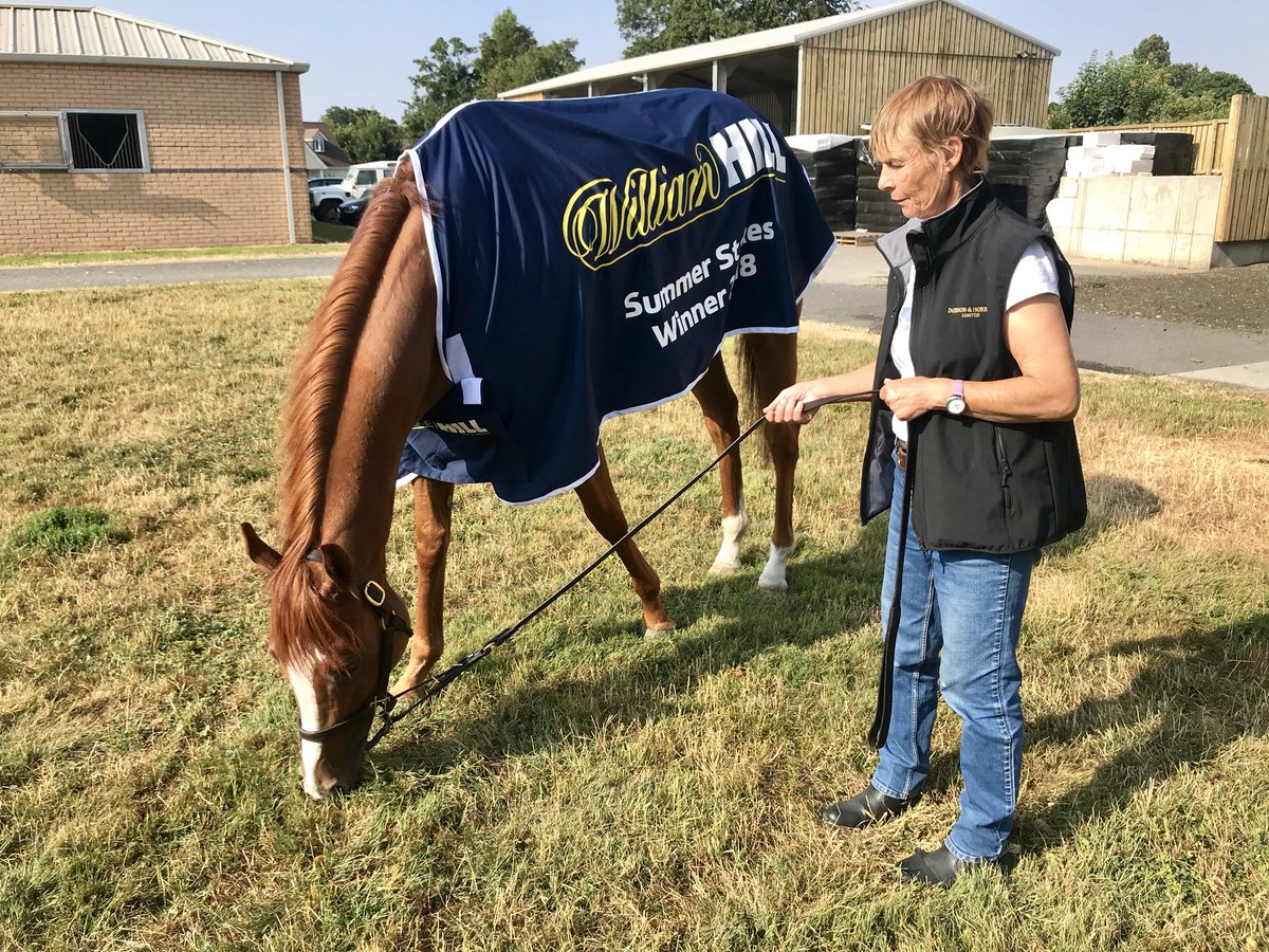 MarcoBotti's tweet photo. RAVEN’S LADY is in great form at home this morning! Here she is showing off her new @WilliamHill Group 3 winning rug from @yorkracecourse 🏆💫🏇🏻@RacingHOTSR #TeamBotti #ravenslady #specialfilly https://t.co/3nrS9odakM
