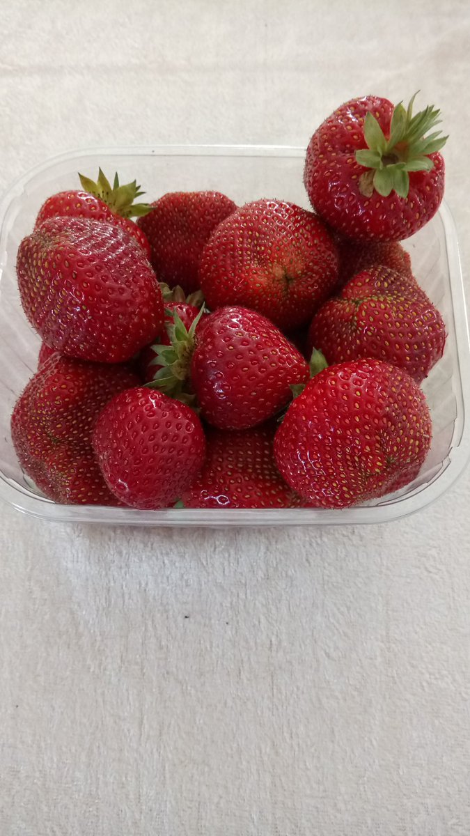 Aww, the best landlord ever gave me these!! 💙 Norwegian strawberries are awesome. 🍓💚🌸 #mydailythankyou #joyinsummer #youmademyday #grateful