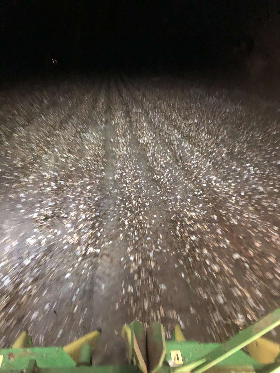 LachlanNass's tweet photo. That’s #pick18 finally done and dusted 😃🍺🍺 https://t.co/f9xE5jQG3a