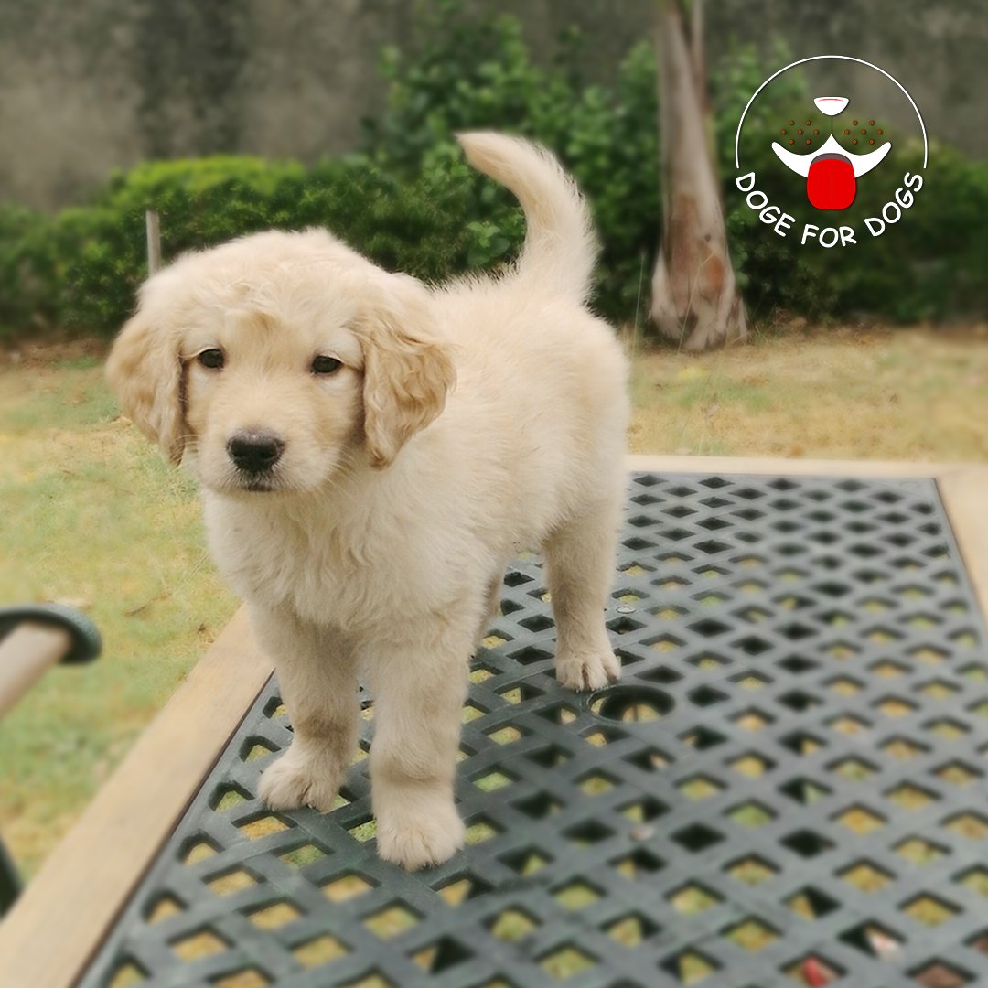 the_jerry's tweet photo. To Invest Or Not To Invest!
.

#money #today #market #dogefordogs #blockhedge2018bahrain #blockhedge2018bangkok #blockchain #blockhedge #cryptocommunity #bitcoin #blockchainevents #cryptocurrency #cryptoevents #ethereum #BTC #cryptocurrencynews #cryptonews #bitcoinprice #currency https://t.co/8AwddlfCTq