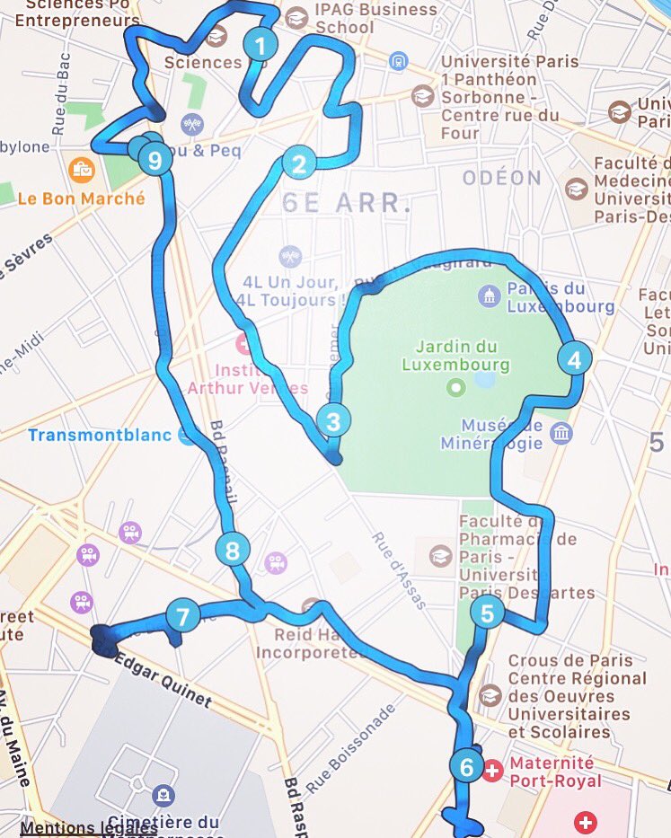 RunningDrawing's tweet image. 🇫🇷 Cocorico 🇫🇷 
#CoqGaulois #Cocorico #kukuriku #FeteNationale #WorldCup #9km #Paris #RunningDrawing