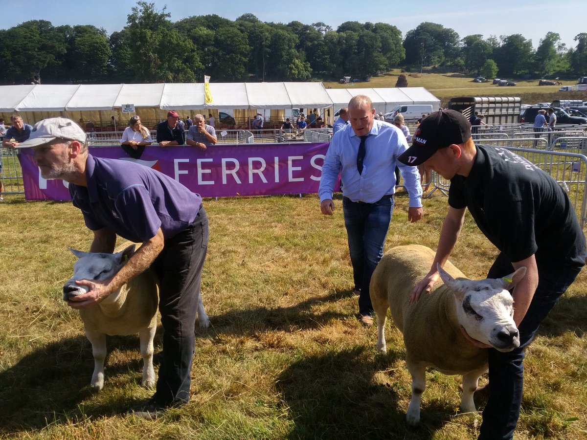 CastlewellanSho's tweet photo. Some of the trophies for our sheep classes. Who will be this year's champions? https://t.co/1yV3obp2j4