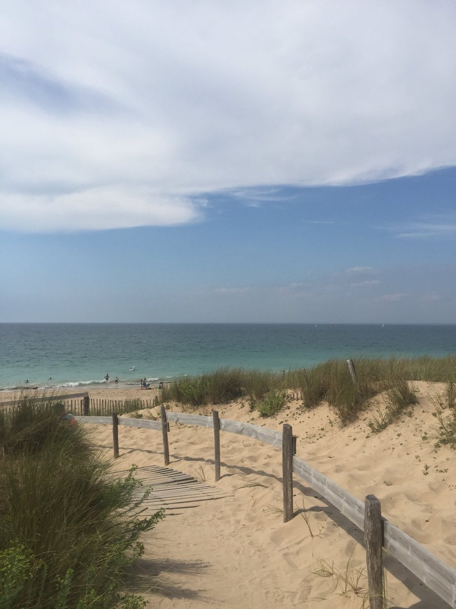 alex 🍭 tweet media