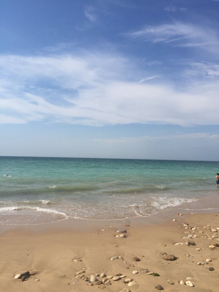 alex 🍭 tweet media