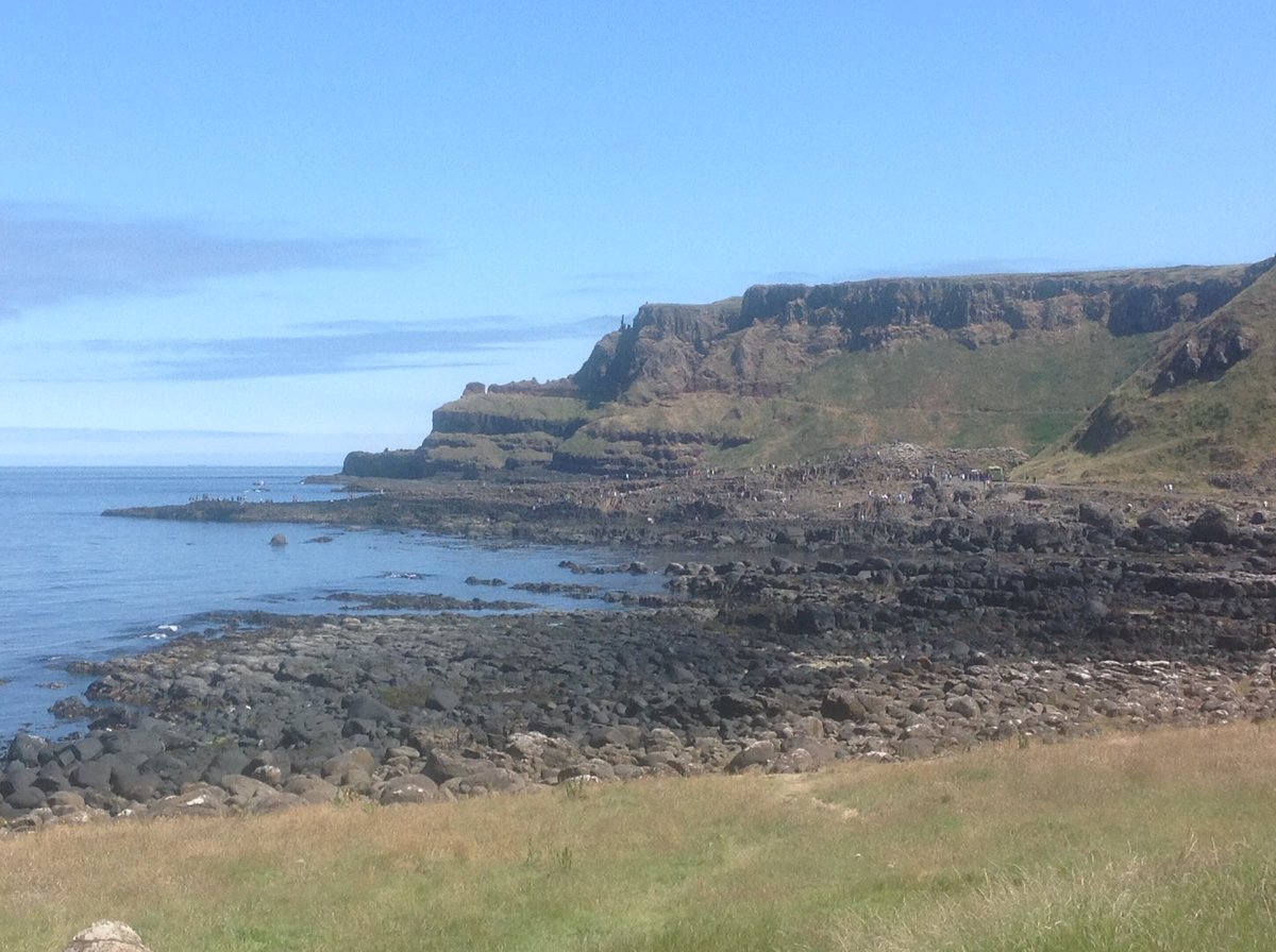 Colleen Taylor tweet media