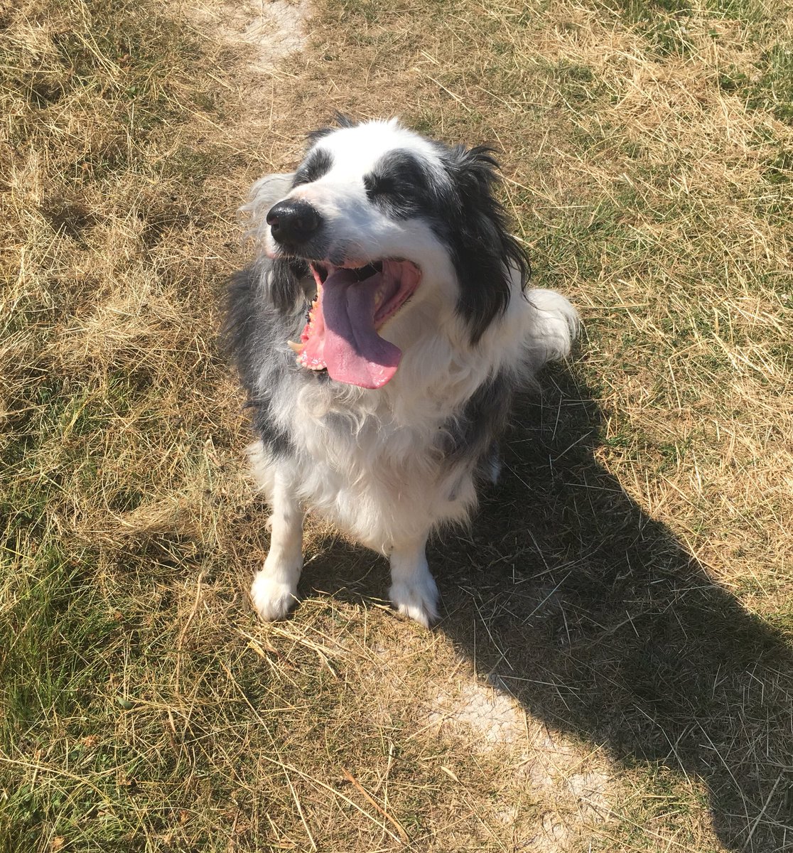 Amandagreysart's tweet photo. One happy boy https://t.co/k6ZHMnUPHr
