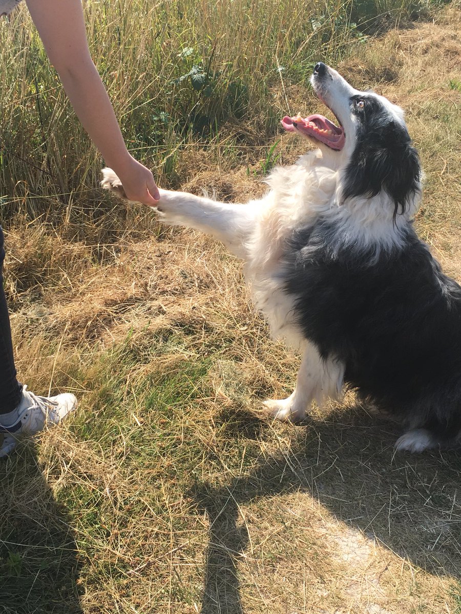Amandagreysart's tweet photo. One happy boy https://t.co/k6ZHMnUPHr