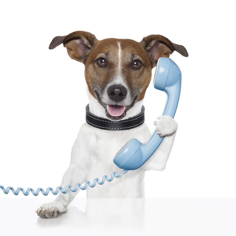 PRingMarketing's tweet photo. Are any of our follower/friends looking for #SocialMedia advice for their business this weekend?

DM us or call us on 0151 662 0090 for a chat anytime.

#WeAreAlwaysHappyToHelp #BizHour https://t.co/klPkKN5cEC