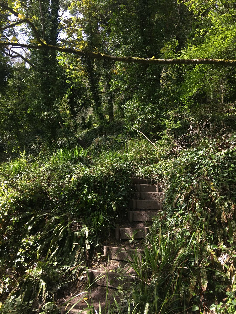 eastdevonround's tweet photo. Some recce snaps of parts of the @eastdevonround for next year’s race (May4th 2019) https://t.co/D2Isbt3vJL