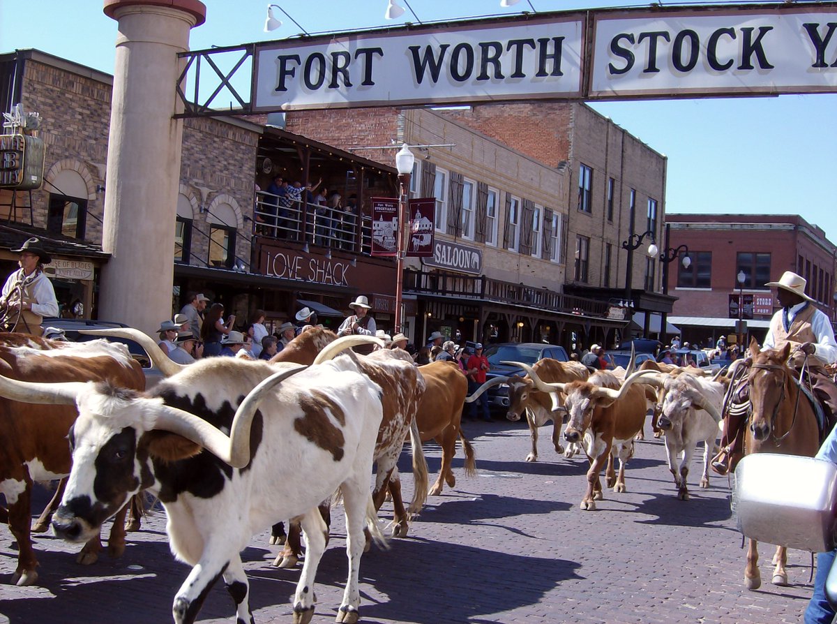 DonMcRay's tweet photo. @DonMcRay plays today (w/ most of the band) from 2:00 to 6:00 PM @WElephantSaloon There's No Cover Charge so come out for good times great food and live Texas music @ftwStockyards   #LiveMusic #Country #Music #LiveTexasMusic #FortWorth #WhiteElephant #Saloon #FortWorthStockyards https://t.co/uqiy5rmf4J