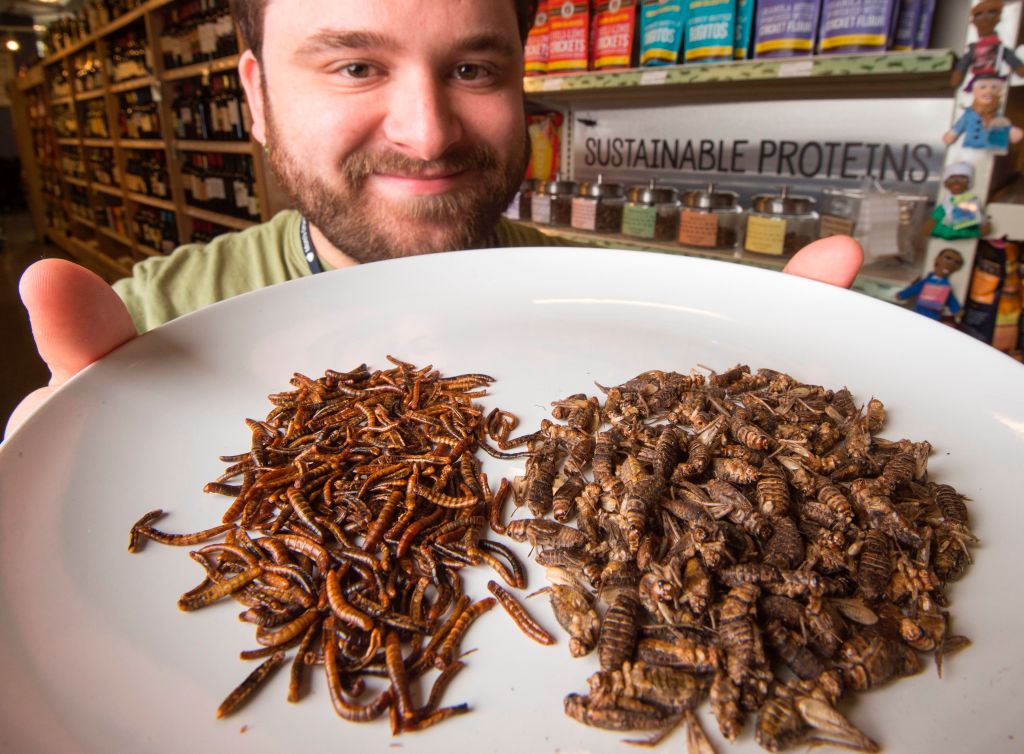 bbgoriginals's tweet photo. Bugs might become a part of your diet soon. Ground-up crickets are mostly tasteless and contain far more protein than wheat flour used to make bread https://t.co/R1tcPakASy https://t.co/JXQR9GezQy