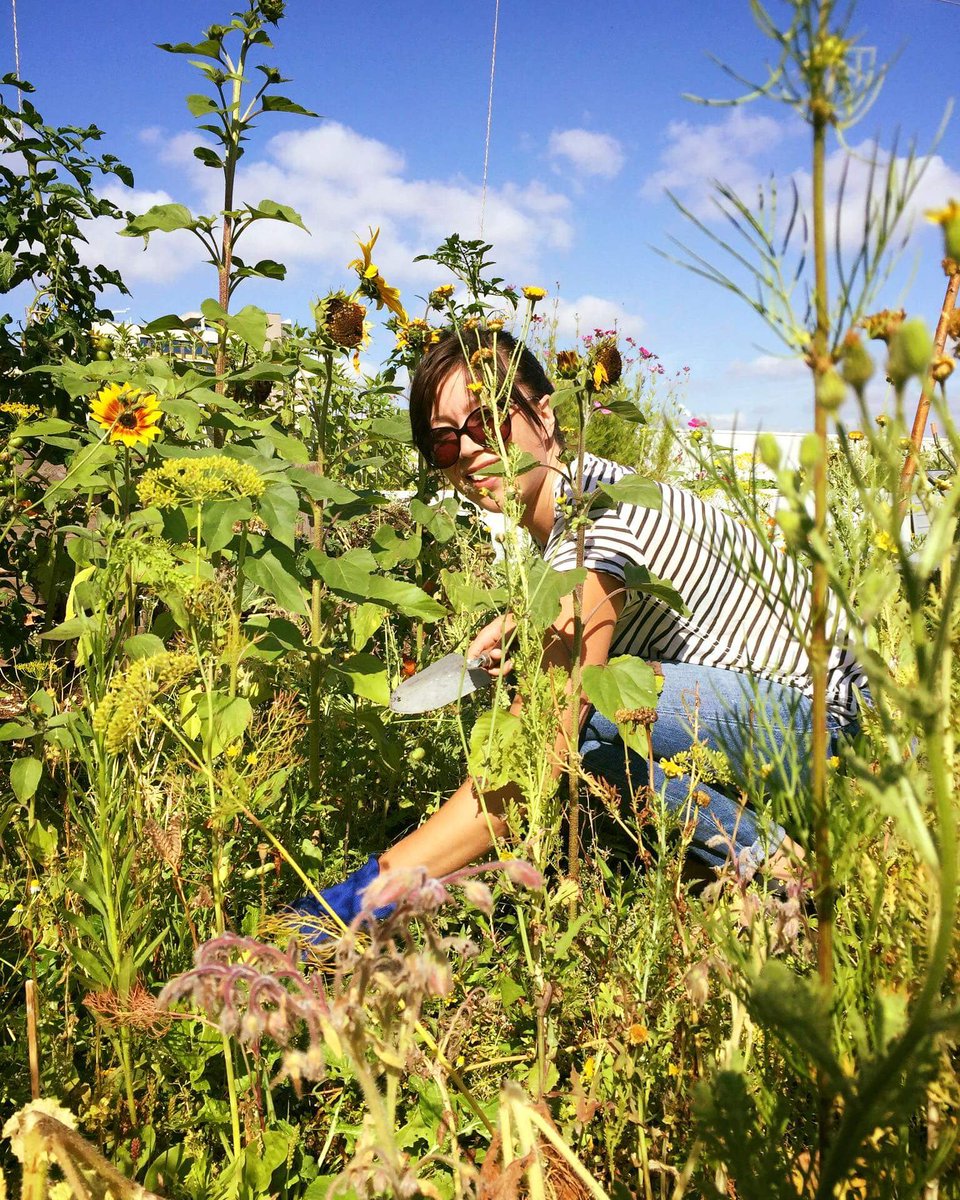 It's a realy hot day on the roof ... but we have to go through! #Rooftopfarming on #rooftopfarm the #DakAkker on an  a officebuilding downtown #Rotterdam ... #photographer: #esprifotografeert