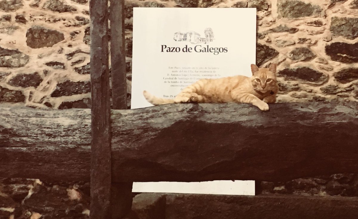 Pazo de Galegos tweet media