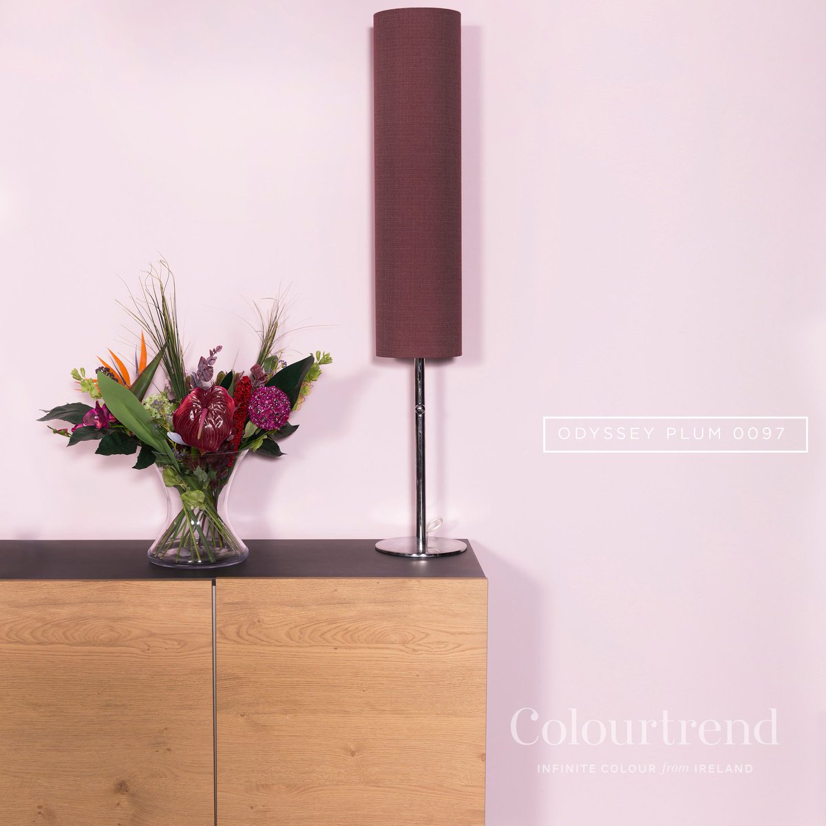 DesignerCol's tweet image. Create a relaxed and comforting feel with Odyssey Plum 0097 by @Colourtrend. #Colourtrend #OdysseyPlum #ColourtrendStockist #InfiniteColourFromIreland