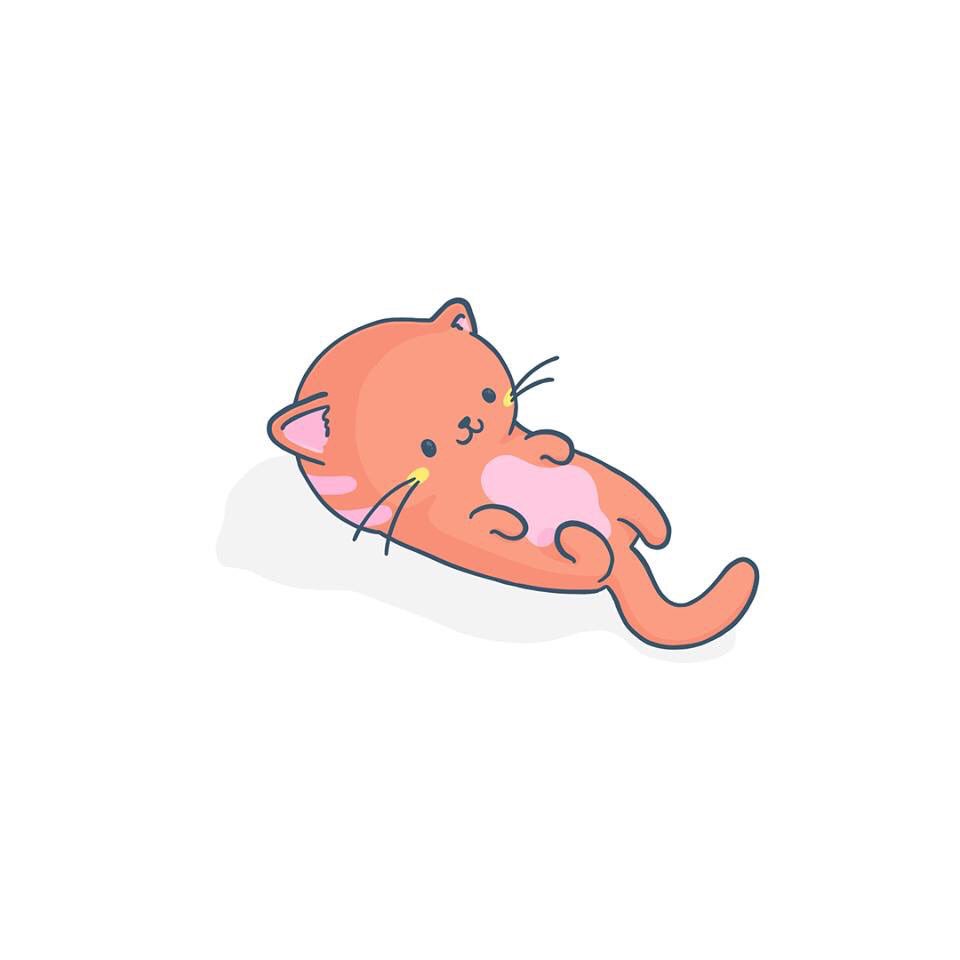 Chris Vasquez tweet media