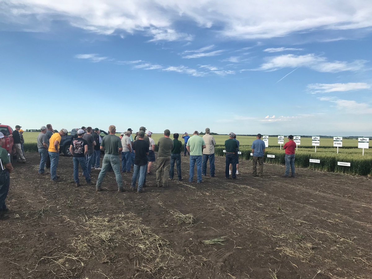 Apwheat's tweet photo. Nice group for the Stein Seed field day near McVille ND.  Doug and Bill were great hosts. https://t.co/x3ing7JrBG