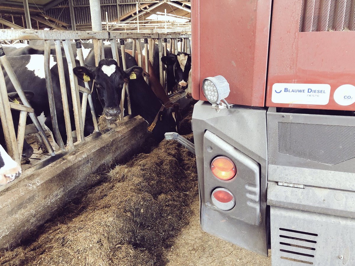 yebtjalling's tweet photo. Geen parade, maar duurzaam rondje koeien voeren in friesland #elfwegentocht #blauwediesel #koeienvoeren #fryslan @elfwegentocht https://t.co/VisVXSEVwu
