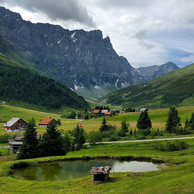 Geometricum's tweet photo. Today from #Savognin the route 555 and 558, Bela Vista and Capricorn driven. Varied route, with fun downhill run from the #Somtgant. #mtb #emtb #mtbTour #ichliebedieberge #graubünden #graubunden #roundtrip #tourisme #haibike #mountains #GRhome #myswitze… https://t.co/CmdBmCZ9Mg https://t.co/N0r6tePboU
