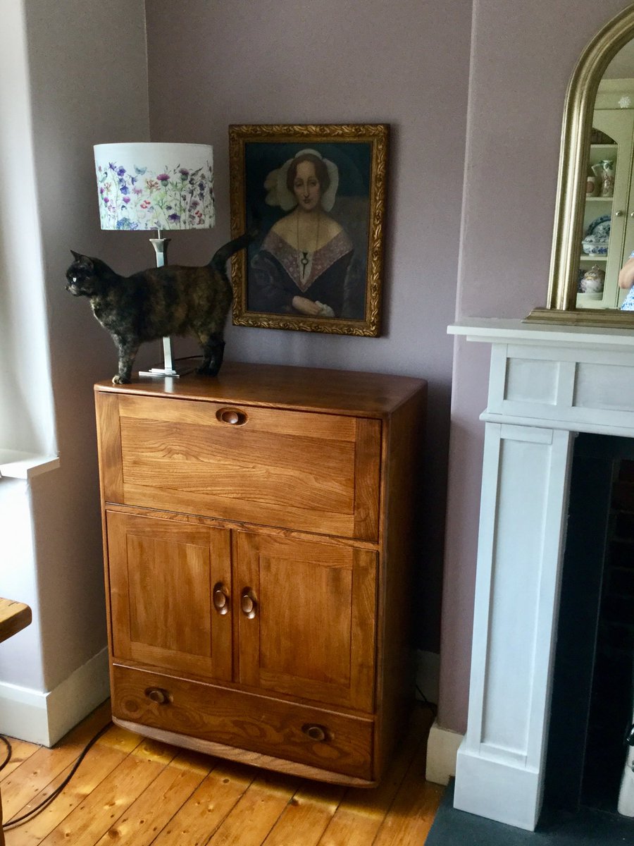 ⁦<a href="/CountyClare7/">Pippin</a>⁩ And dis is me in da dining room keeping an eye on a flutterby