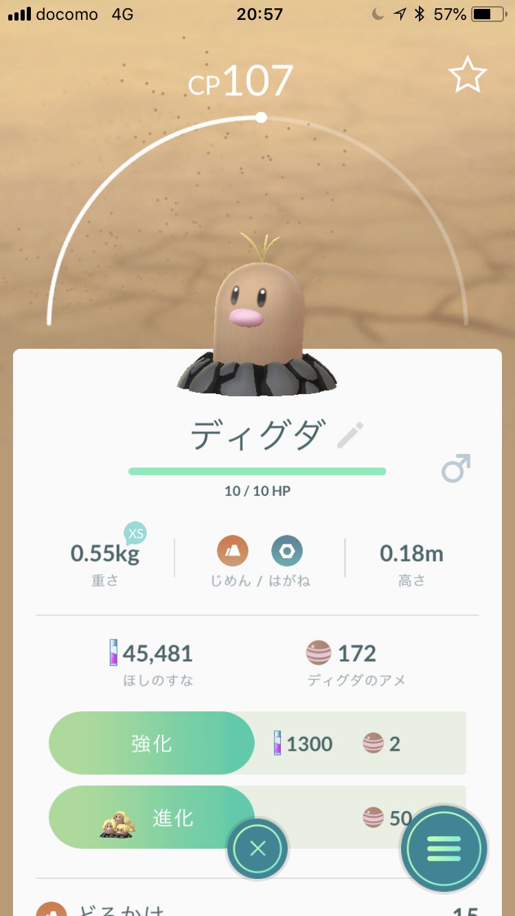 富永勘太 ディグダとダグトリオ おもしろい