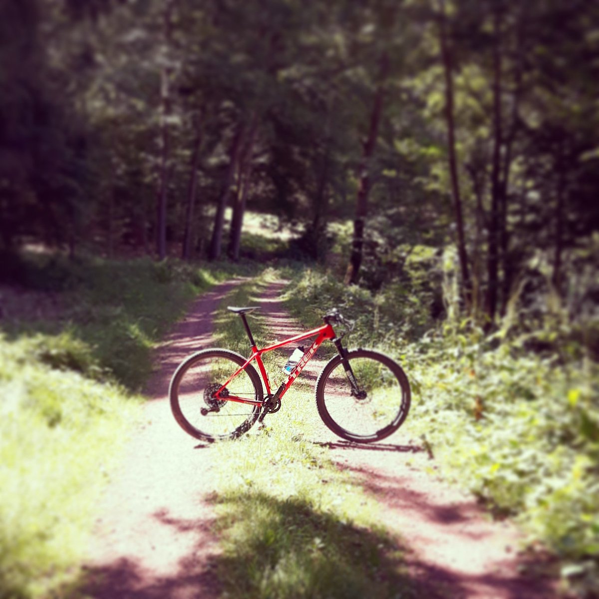 sbaumanncycling's tweet image. ❤ my Red Rocket 
@TrekBikes #ProCaliber with @SRAMmtb XX1 #eagle