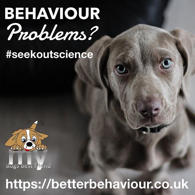my_dogs_bf's tweet photo. When looking for the right help for your dog it can be a minefield. There are still many punitive trainers and self confessed dog whisperers around today. Don’t risk it; to ensure no harm comes to your much loved pet #seekoutscience. Always ask what t… https://t.co/cBxJLfpAqv https://t.co/IEf95qmAxx