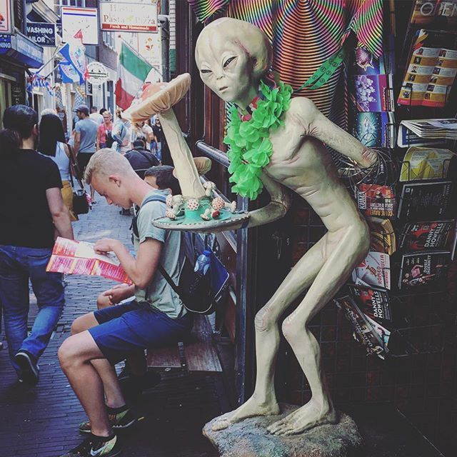 jiriandera's tweet photo. Com’ com’ gimmi kisses 👽 #iamamsterdam #alienonmushrooms #seewhatyouwant https://t.co/BNhXg5lGo8