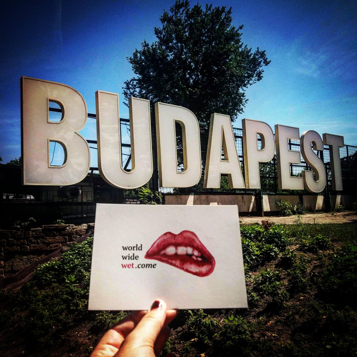 WorldWideWet.come goes Global 🌍 Ladies from Hungary, what do you fantasize about?
Visit worldwide-wet.com 💋
🇭🇺🇭🇺🇭🇺
Book research by <a href="/goedeleliekens/">Goedele Liekens</a> 
#femalesexualfantasies 
#WorldWideWetCome