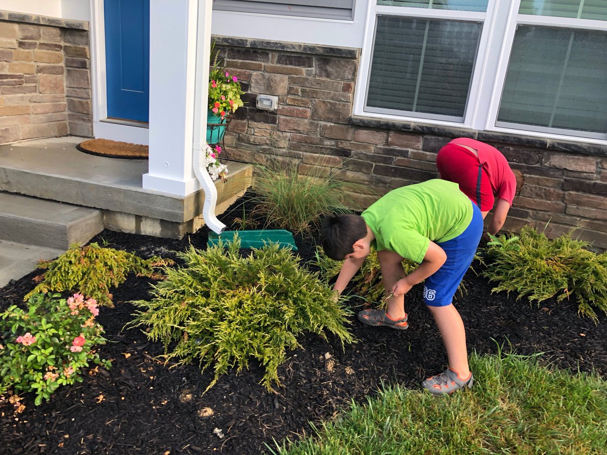 ChrisTitzer's tweet photo. #WeedPulling βοΈ https://t.co/0mD8XOMZAJ