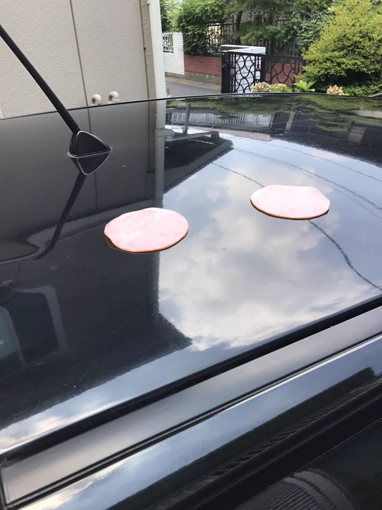 猛暑で車がめちゃくちゃ熱かったから、ハムを車に置いてみた結果ｗｗｗ