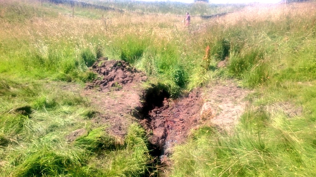 1/2 Half the crew on <a href="/WildTroutTrust/">The Wild Trout Trust</a> <a href="/YorkshireWater/">Yorkshire Water 💧</a> habitat workshop at Embsay Res w/ <a href="/SkiptonAngling/">Skipton Angling</a>
Culvert removal on spawning beck and rock ramp regrading &amp; remeandering of channel