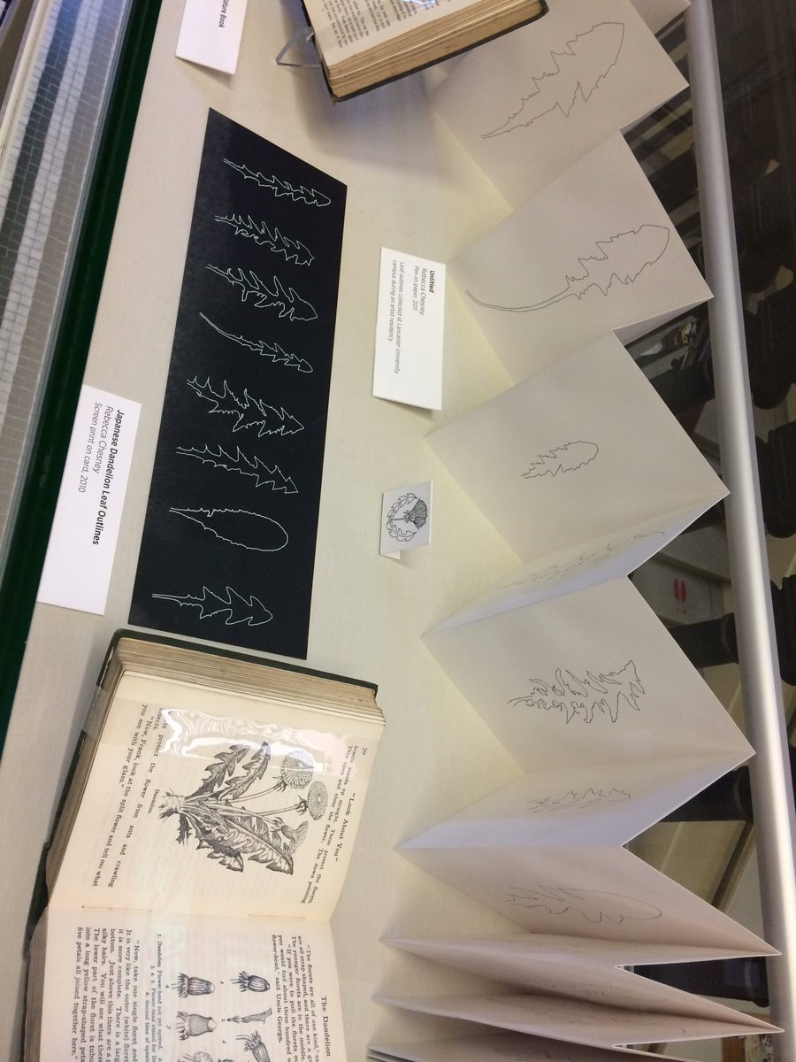 JulieMayer68's tweet photo. Now on the @ChesneyRebecca Dandelions Rustic Oracles  Trail @HarrisPreston . https://t.co/1o104JeNkW