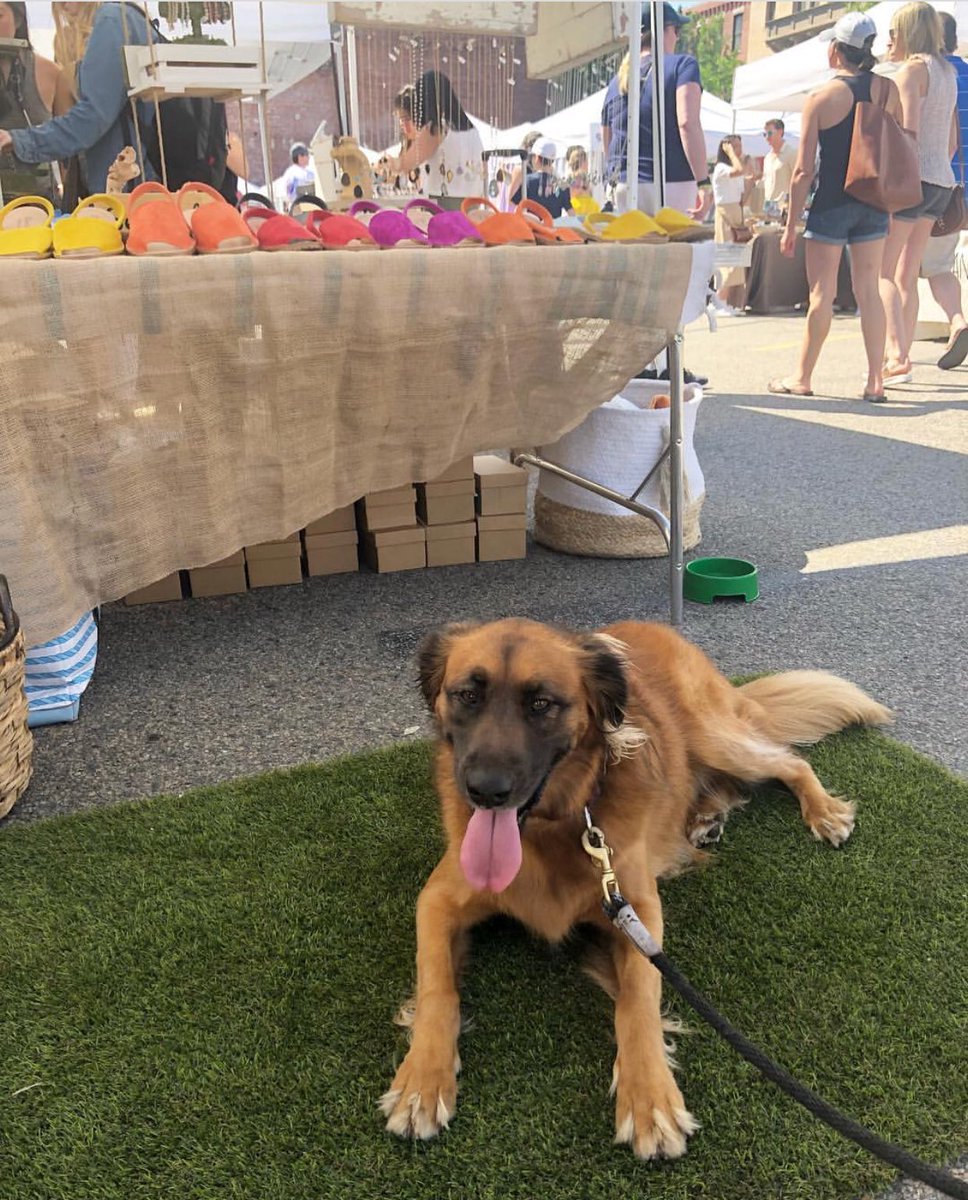 serverdeshoes's tweet photo. Come see us tomorrow @sowa_Boston at the arts market. #shoes #sowaboston #artsmarket #sale #color #petfriendly #boston #bostonfun #weekendvibes https://t.co/Qwgu5QrH0t
