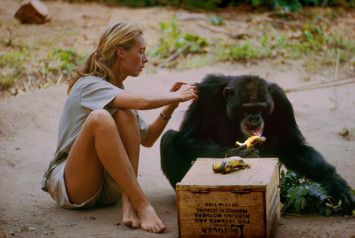 Nat Geo Explorers tweet media