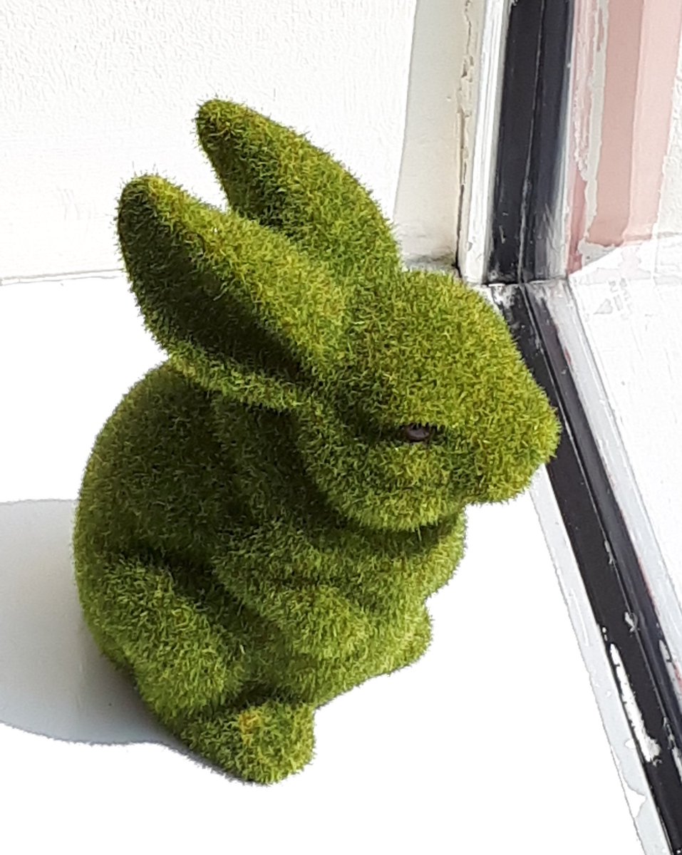 SarahCrewArtist's tweet photo. There is still time before the private view to help rehome rabbits from Rio. @ltgallery1 #RehomeTheRabbits https://t.co/hQknfKEu73