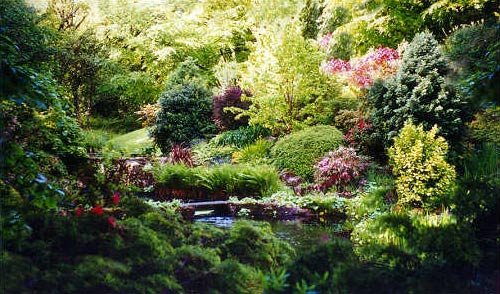 Lski777's tweet photo. Beautiful Day, Great Signal, NO NOISE...' TRADERS ' HEALING GARDENS !!
Find a spot make it your ' New Office '...Im Looking For Land in The Beautiful Sierra Nevada...'National Park ' Villages 36k above sea level...its a magical place https://t.co/5WAPVUbAhP