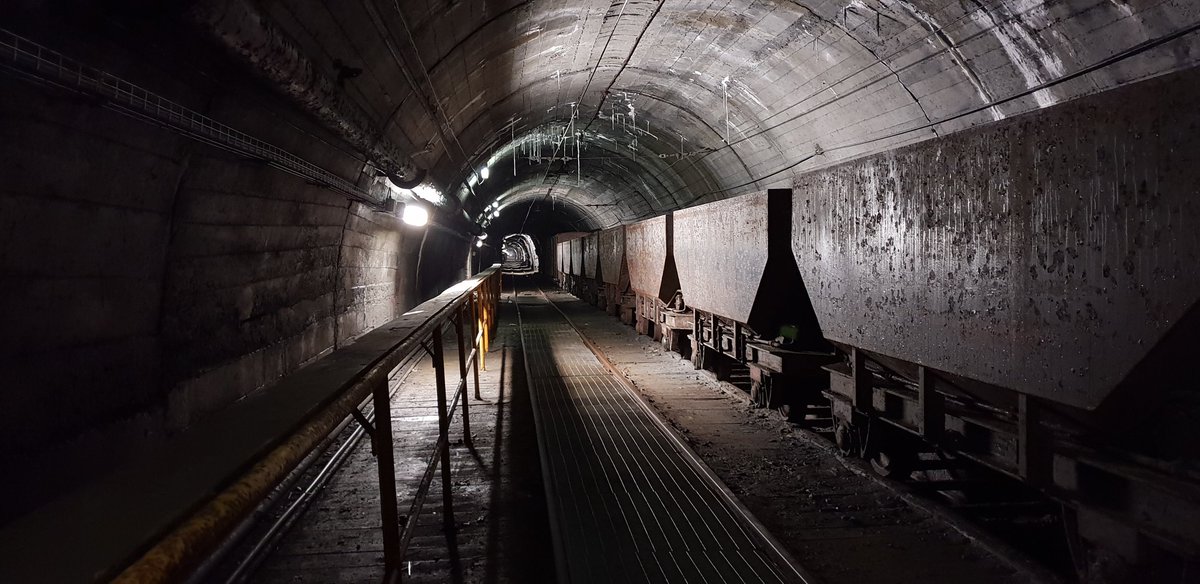 Giovy Malfiori tweet media