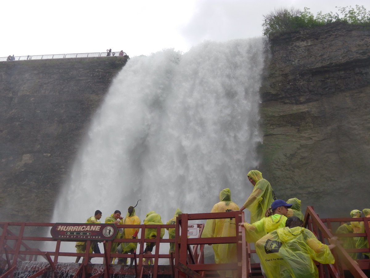 GrayLineNiagara's tweet photo. Looks like a great #SaturdayMorning for an adventure in #NiagaraFalls!
https://t.co/RxHwZRkozU #SightseeingEverywhere #TheBucketLife https://t.co/EPQ8iDstlE