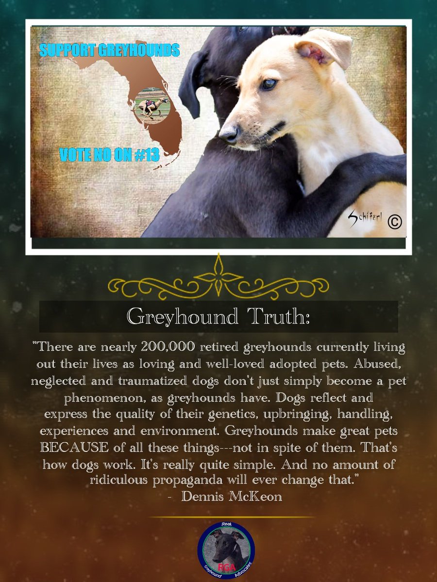 RealGreyhound's tweet photo. Fact: True Greyhound lovers do not need to steal from others and do not need to create deceptive propaganda. They have actual experience, facts, and photos. Most importantly, they have had 100% of all of your retired racing Greyhounds long before you knew they ever existed. https://t.co/p5wRPC9hnc