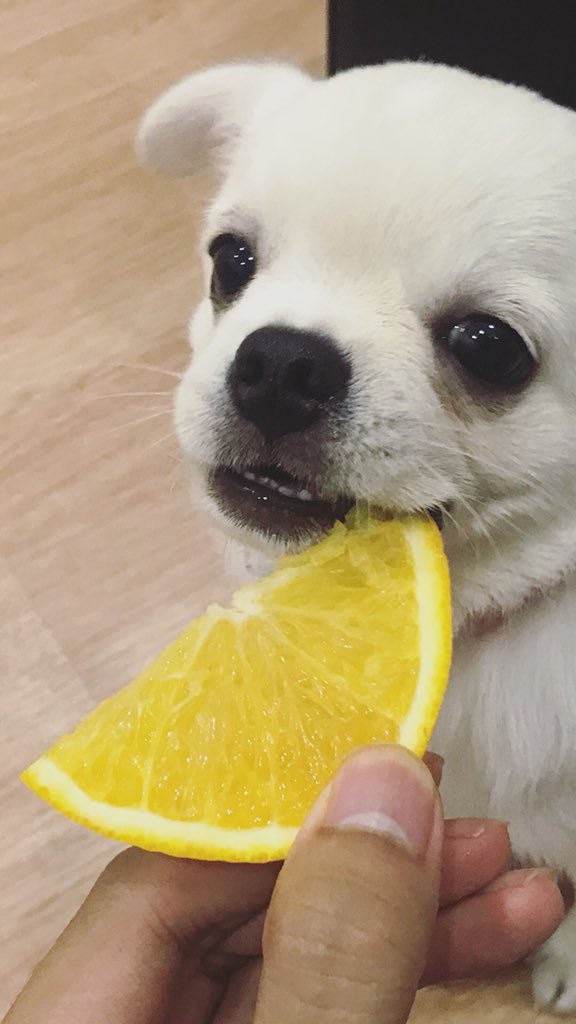 Donaldae's tweet photo. อร่อยมั้ย ขอชิมหน่อยจิ 🤔 https://t.co/Ze9iGZOdy7