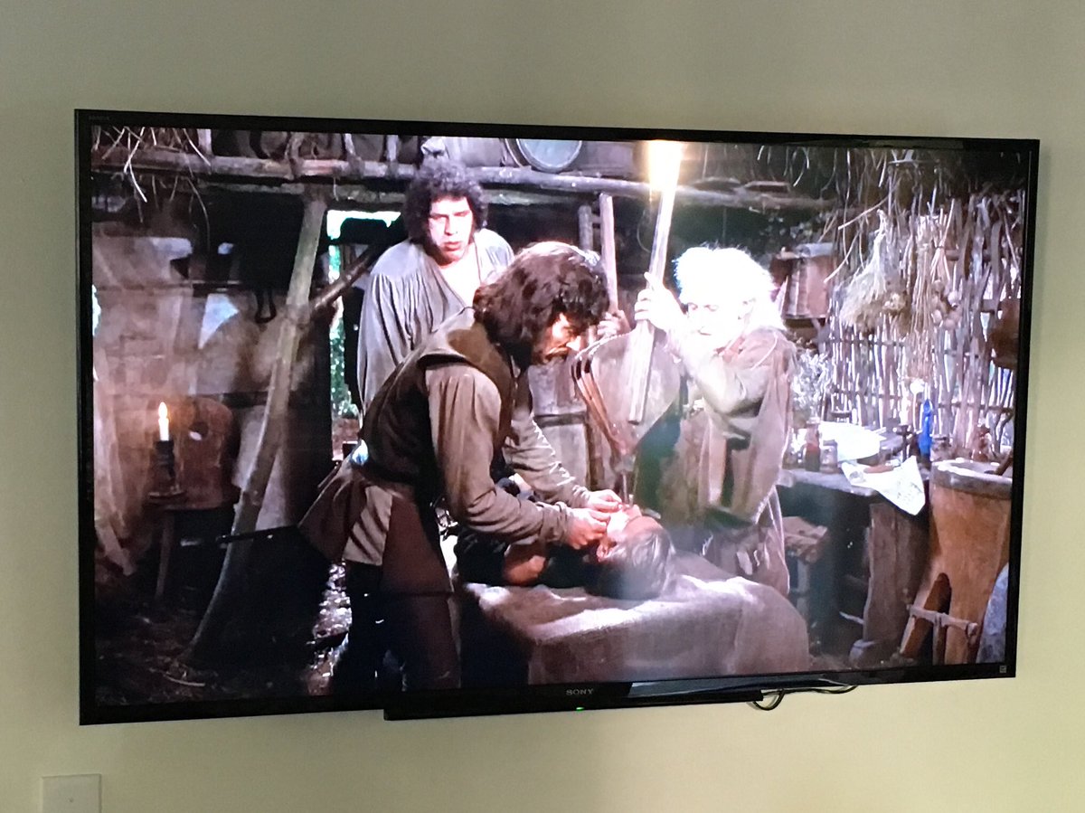 danlear78's tweet image. I turn on the Princess Bride this morning just in time for the classic Miracle Max scene “he’s only *mostly* dead” “have fun storming the castle” “you *are* the brute squad” “He distinctly said ‘to blave.’”