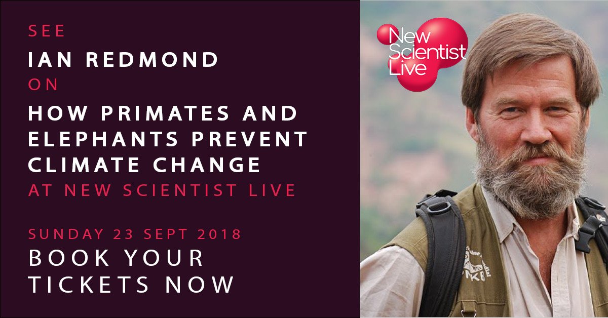 newscievents's tweet photo. Happy #WorldChimpanzeeDay! Today is about honouring our closest cousin - Learn how primates actually prevent climate change with @4Apes at #NSLive  - Find out more https://t.co/62DaC0AxJL https://t.co/xV4IonVQBc