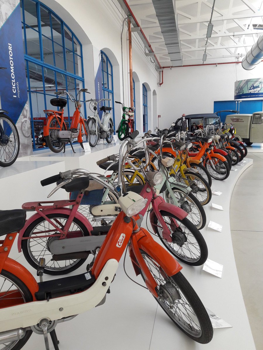 Susanna Bagnoli tweet media