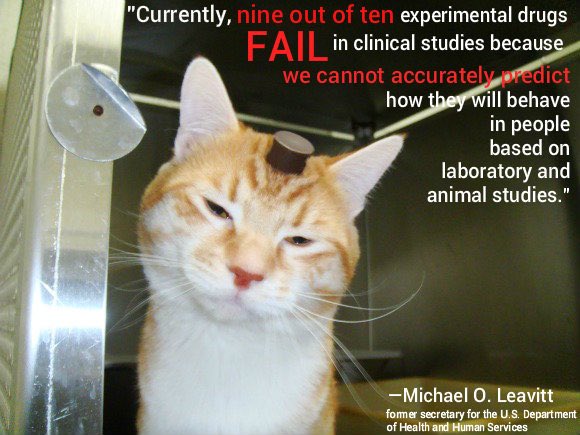 big_catsf's tweet photo. @_AnimalAdvocate @The_Animal_Team @rickygervais @K9Magazine @ScarlettBeagle @Protect_Wldlife @Animals1st @PeterEgan6 @ProfBrianCox @Animal_Watch @Ivy_Middleton @AmyRoseKathryn @ChrisGPackham @natalieben @RobRobbEdwards @BellaLack @peteswildlife @DrBrianMay It simply does not work😢 https://t.co/fODHQTjM8i