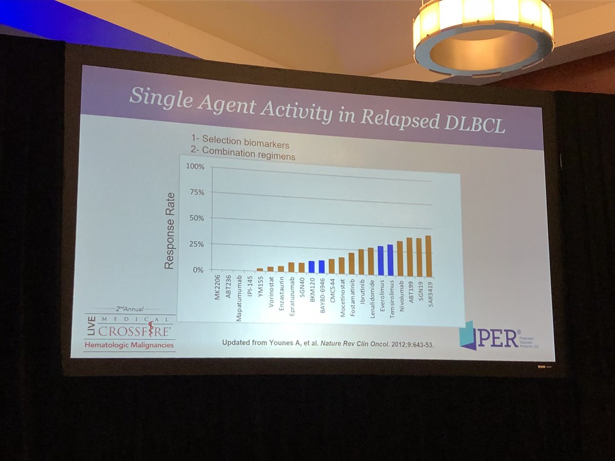 graham74GC's tweet photo. Younes presenting on relapsed DLBCL. Sobering data showing disappointing response rates of single drugs in this space. None worthy of FDA approval. #PER_LMXF @GoToPER #lymsm https://t.co/uLiqt44jk9