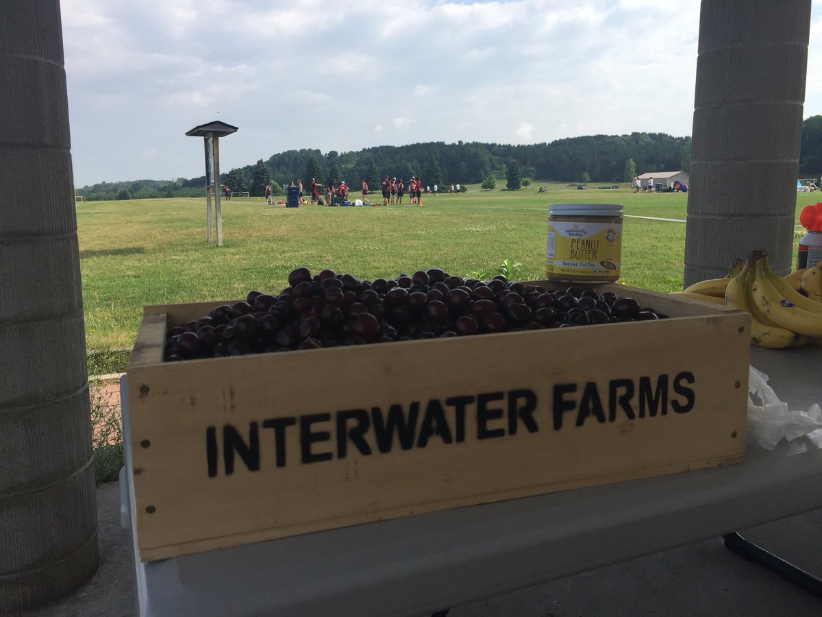 TC Ultimate tweet media