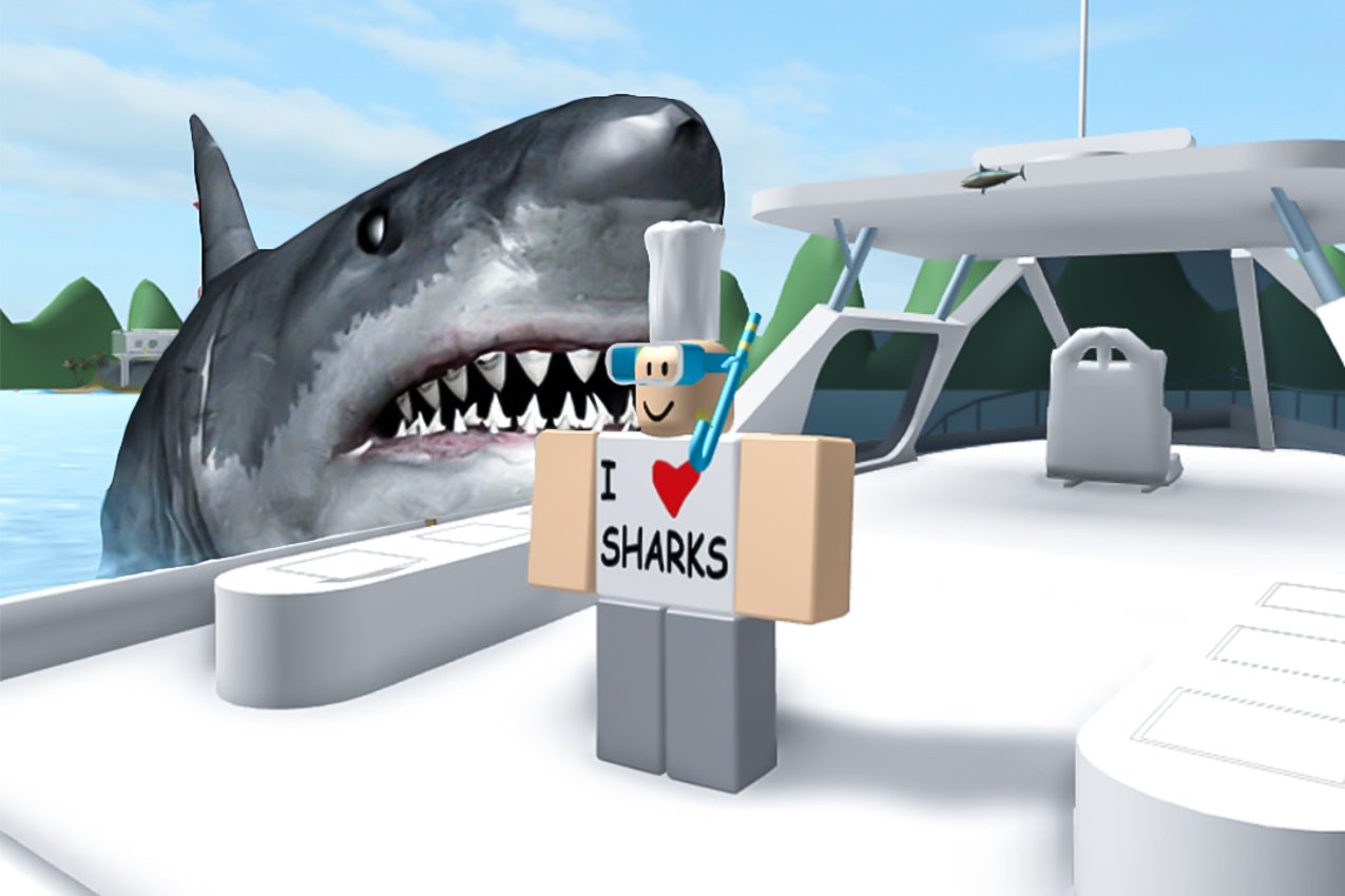 Roblox on X: Don't become shark bait as you stay afloat in SharkBite!   #SharkAwarenessDay! 🦈  / X