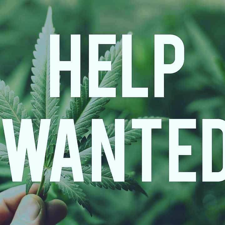 HobbitFroggy's tweet photo. Who wants their own business and training? This is easy and very profitable. https://t.co/v9gmQPVeO3 #makemoney #income #opportunity ##wahm #sahm #WorkFromHome #homebasedbusiness #paidweekly https://t.co/NTuxVc2R6U